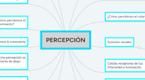 Mind Map: PERCEPCIÓN