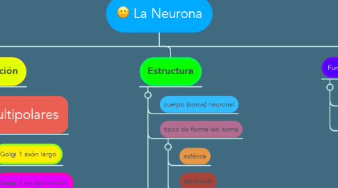 Mind Map: La Neurona