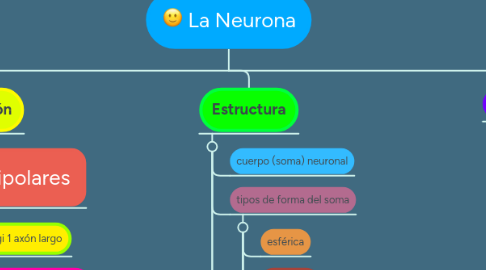 Mind Map: La Neurona