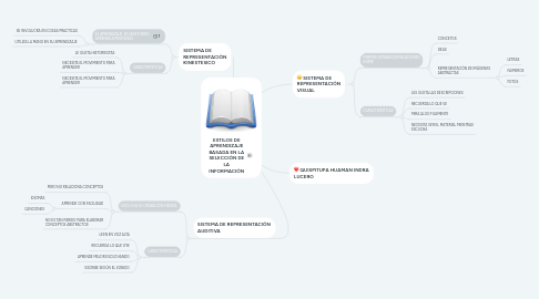 Mind Map: ESTILOS DE APRENDIZAJE BASADA EN LA SELECCIÓN DE LA INFORMACIÓN