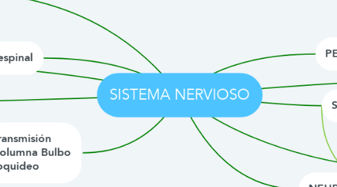 Mind Map: SISTEMA NERVIOSO