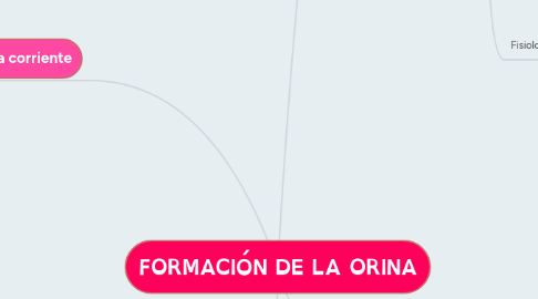 Mind Map: FORMACIÓN DE LA ORINA