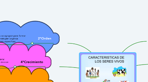 Mind Map: CARACTERISTICAS DE LOS SERES VIVOS