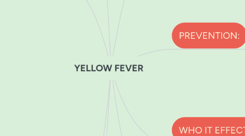 Mind Map: YELLOW FEVER