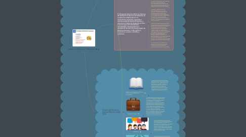 Mind Map: Derechos Humanos: Principios