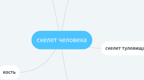 Mind Map: скелет человека