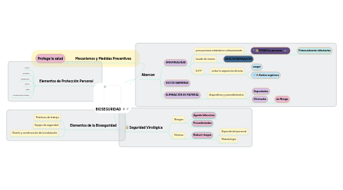 Mind Map: BIOSEGURIDAD