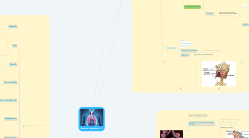 Mind Map: Aparato respiratorio