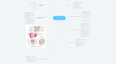 Mind Map: PBL CASE 1: AYMAN THE SWIMMER