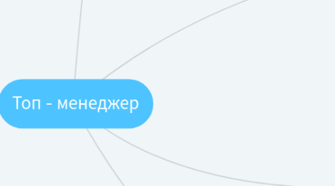 Mind Map: Топ - менеджер
