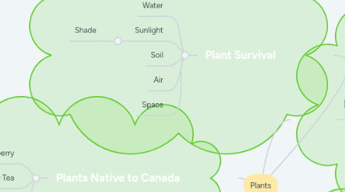 Mind Map: Plants