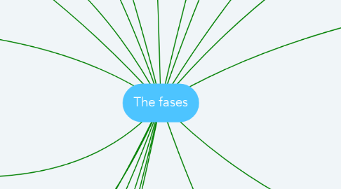 Mind Map: The fases