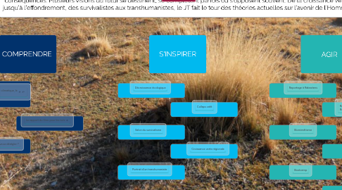 Mind Map: Dérèglement climatique