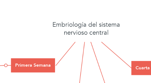Mind Map: Embriología del sistema nervioso central