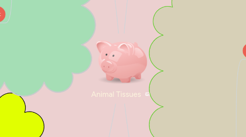 Mind Map: Animal Tissues