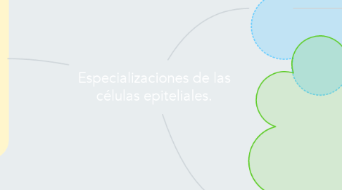 Mind Map: Especializaciones de las células epiteliales.