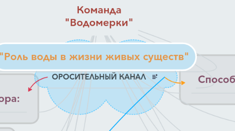 Mind Map: Команда "Водомерки"