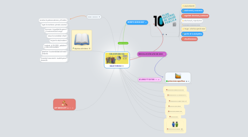 Mind Map: SALUD PUBLICA
