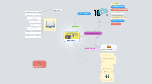 Mind Map: SALUD  PUBLICA