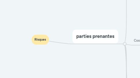 Mind Map: Risques