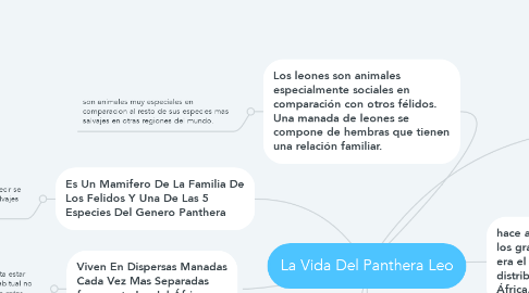 Mind Map: La Vida Del Panthera Leo