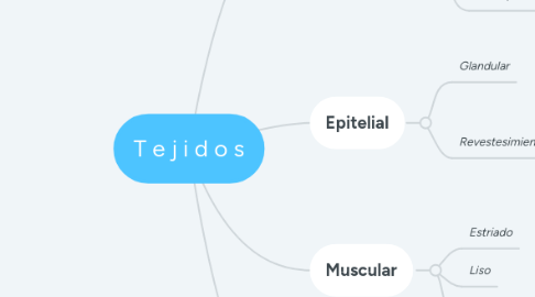 Mind Map: T e j i d o s