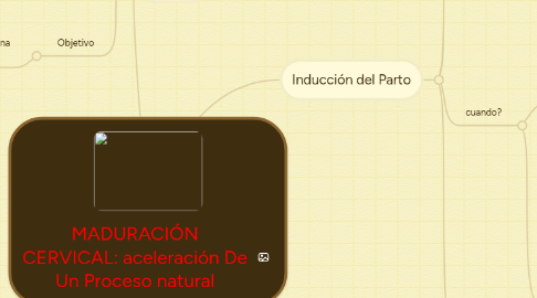 Mind Map: MADURACIÓN CERVICAL: aceleración De Un Proceso natural