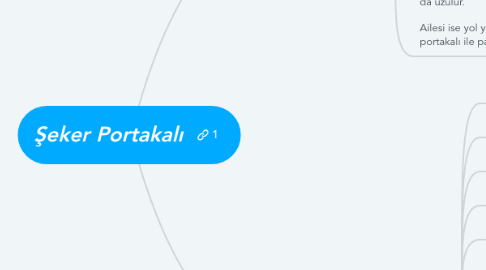 Mind Map: Şeker Portakalı