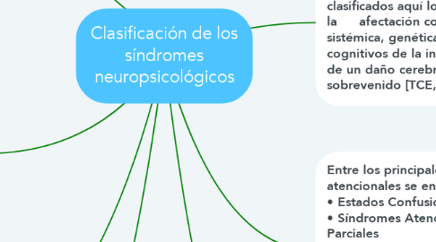 Mind Map: Clasificación de los síndromes neuropsicológicos