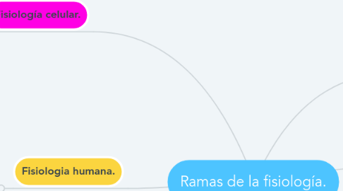 Mind Map: Ramas de la fisiología.