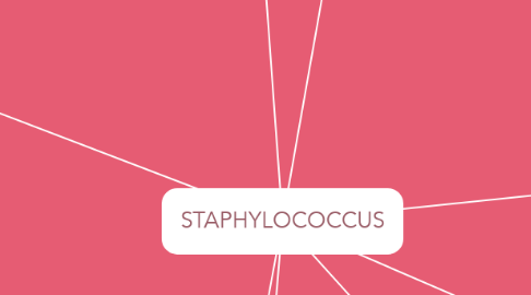 Mind Map: STAPHYLOCOCCUS