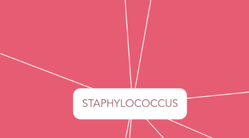 Mind Map: STAPHYLOCOCCUS