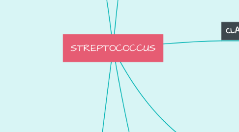 Mind Map: STREPTOCOCCUS