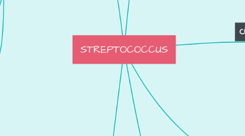 Mind Map: STREPTOCOCCUS