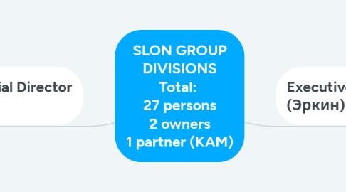 Mind Map: SLON GROUP DIVISIONS Total: 27 persons 2 owners 1 partner (KAM)