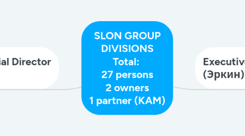 Mind Map: SLON GROUP DIVISIONS Total:  27 persons 2 owners 1 partner (KAM)