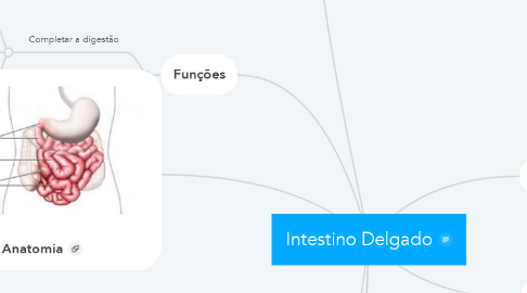 Mind Map: Intestino Delgado