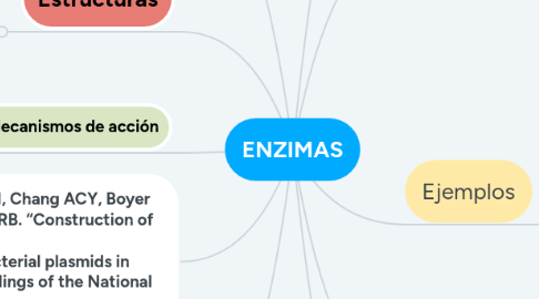 Mind Map: ENZIMAS