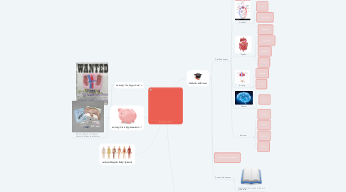 Mind Map: Body Systems Lesson