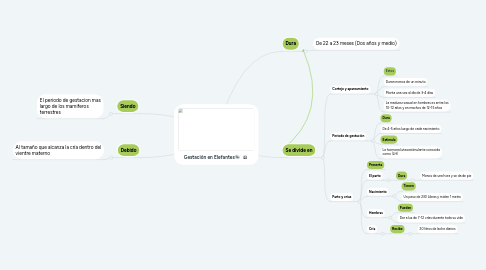 Mind Map: Gestación en Elefantes🐘