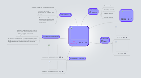 Mind Map: EL CEREBRO