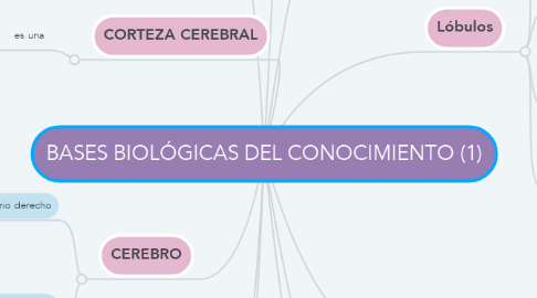 Mind Map: BASES BIOLÓGICAS DEL CONOCIMIENTO (1)