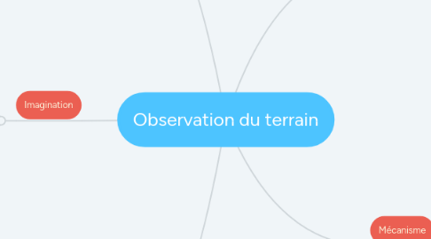 Mind Map: Observation du terrain