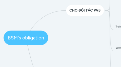 Mind Map: BSM's obligation