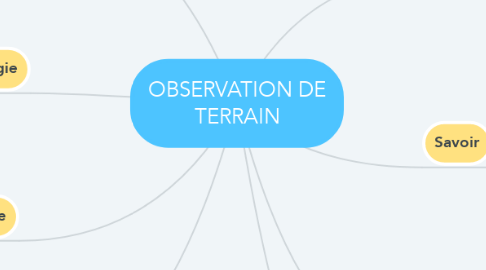 Mind Map: OBSERVATION DE TERRAIN