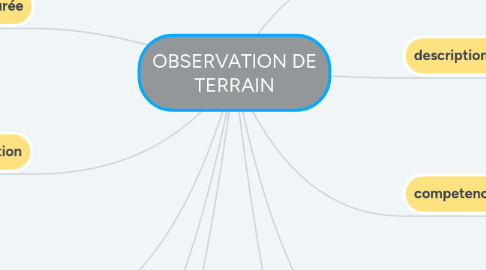 Mind Map: OBSERVATION DE TERRAIN