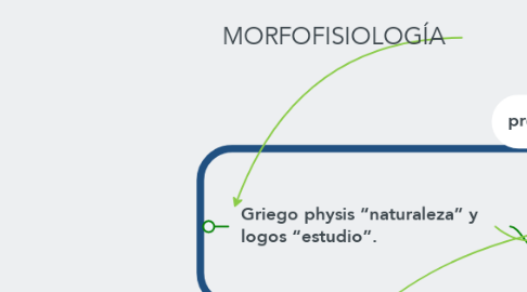 Mind Map: MORFOFISIOLOGÍA