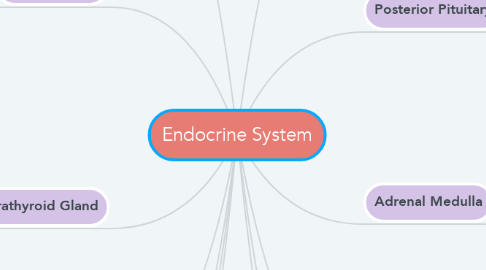 Mind Map: Endocrine System