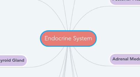 Mind Map: Endocrine System