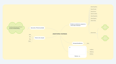 Mind Map: ANATOMIA HUMANA